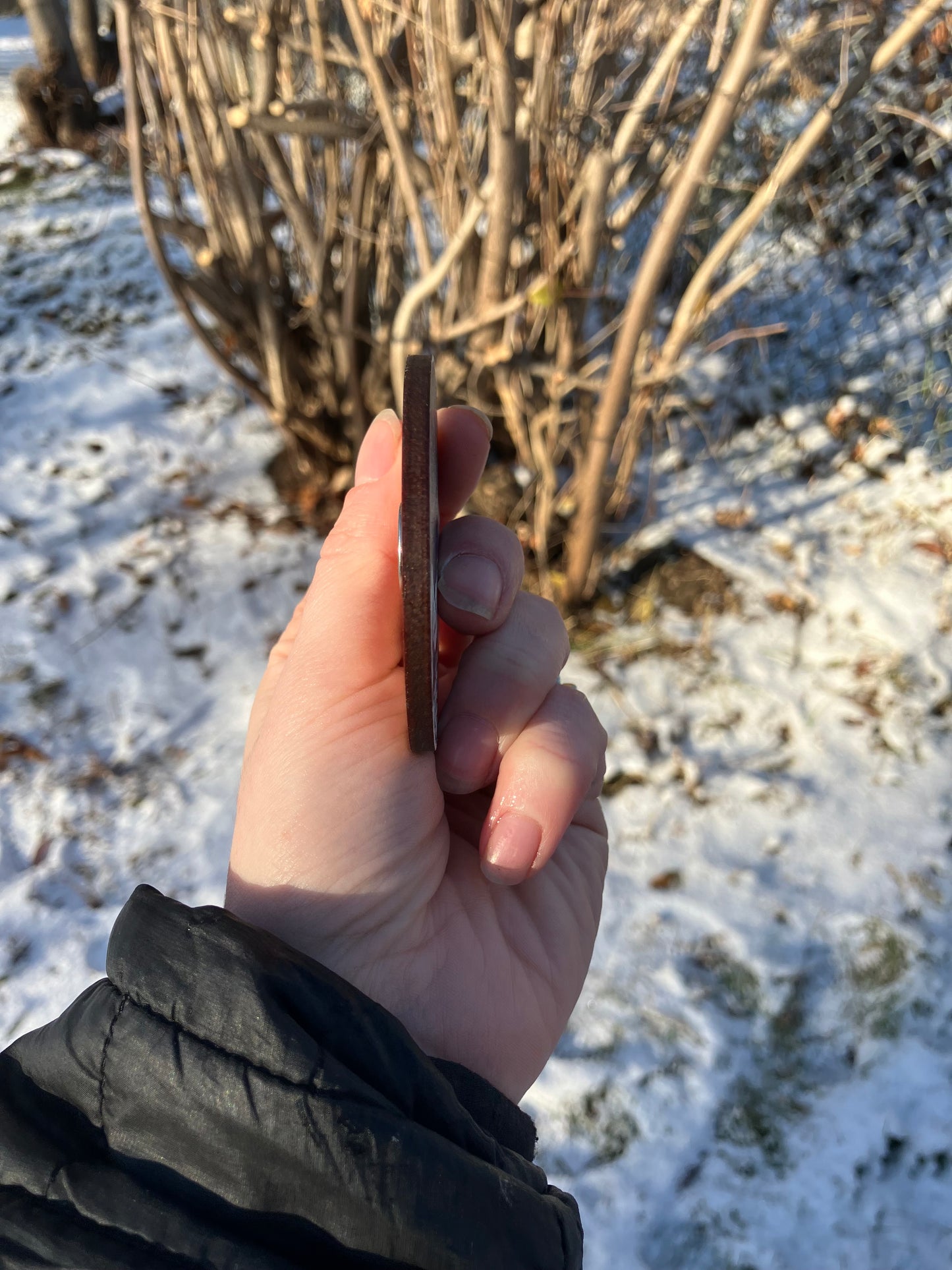 Dog Mushing Wood Magnet