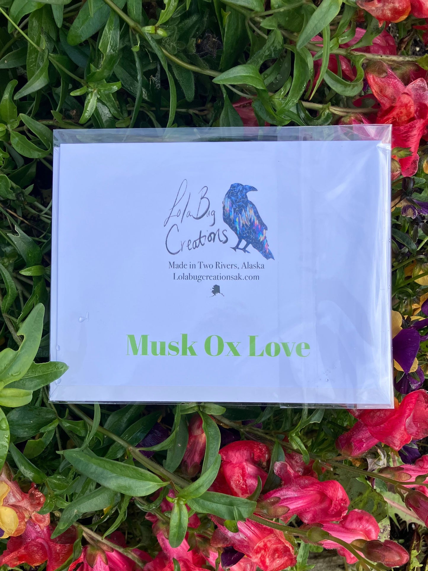 Colorful Musk Ox Note Card