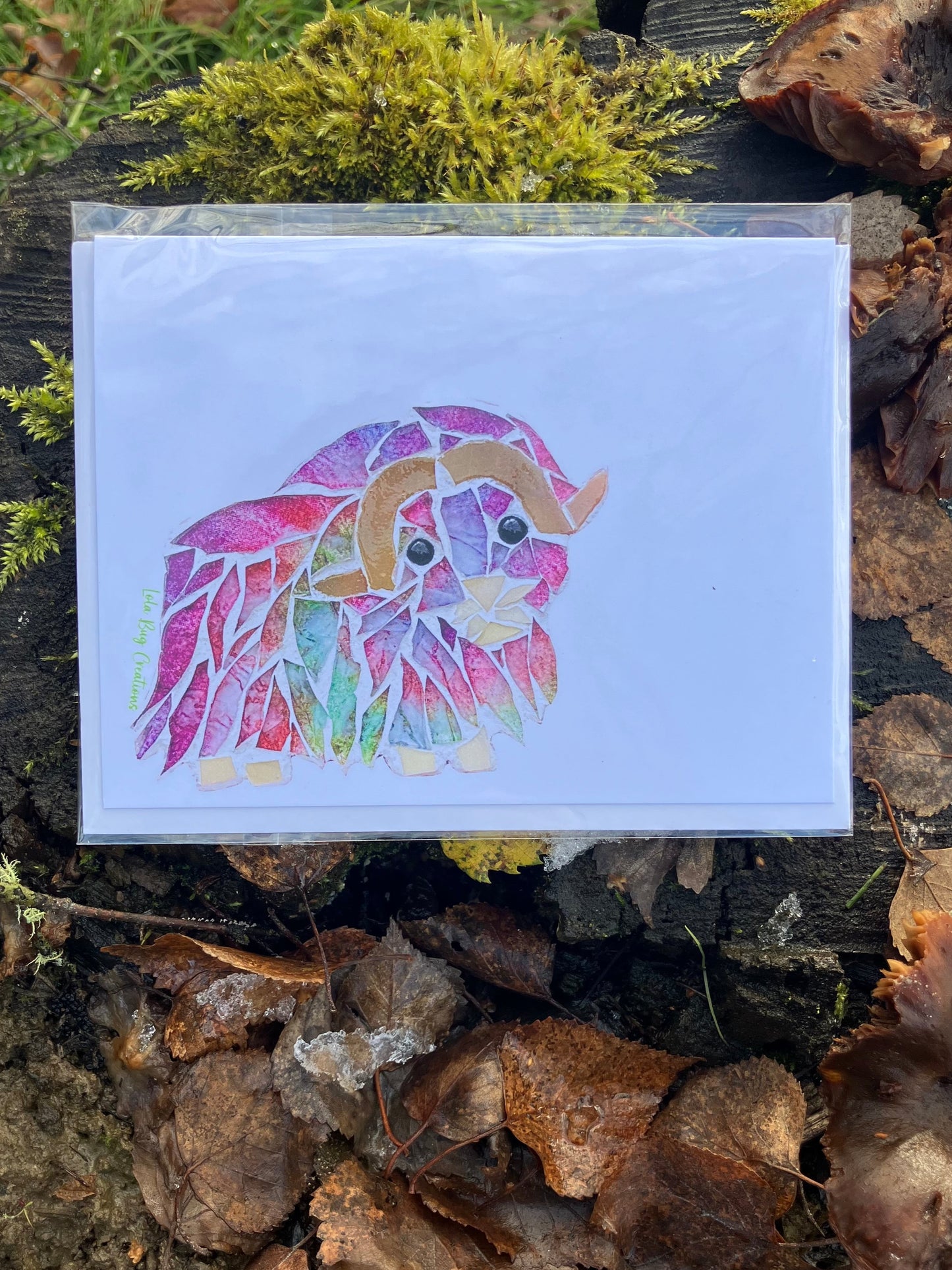 Colorful Musk Ox Note Card