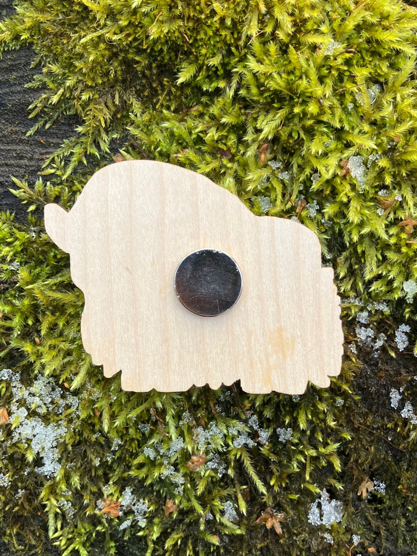 Colorful Musk Ox Wood Magnet