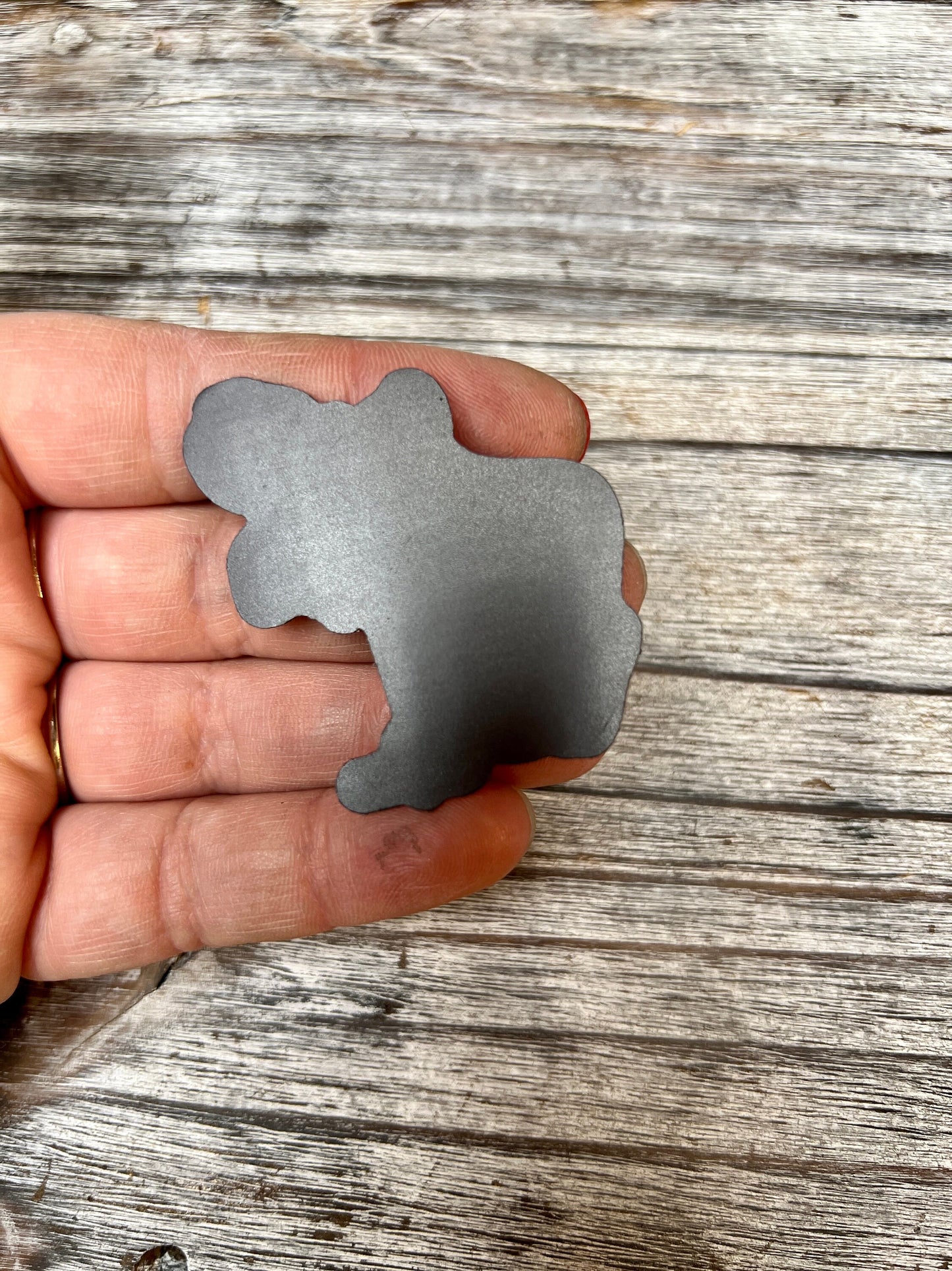 Rainbow burst multicolor moose small magnet