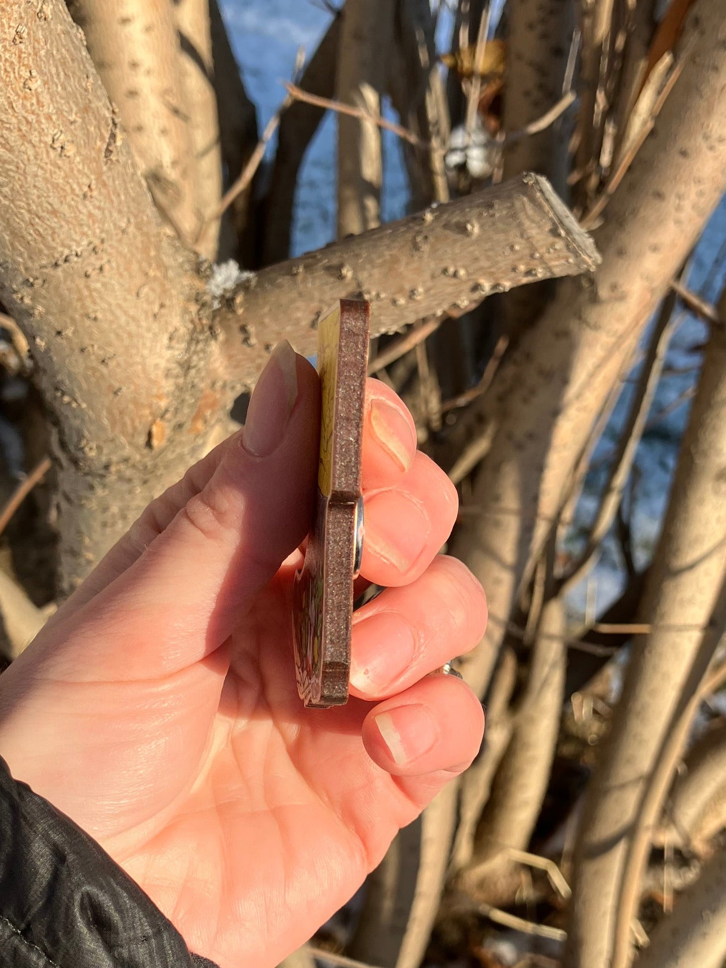 Xtra Tuff Mushroom Wood Magnet