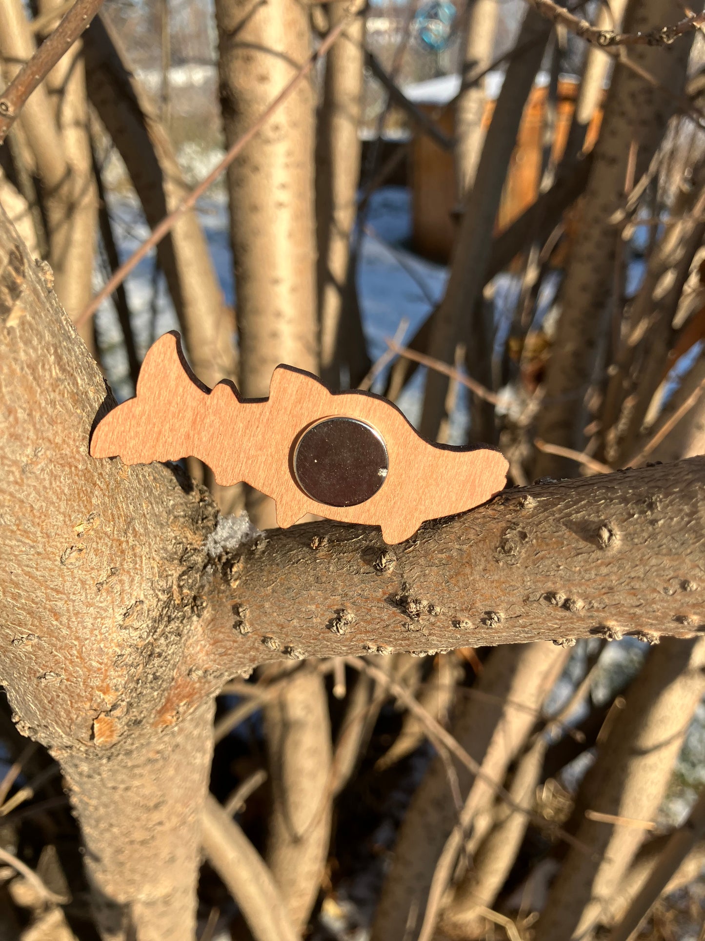 Salmon Wood Magnet