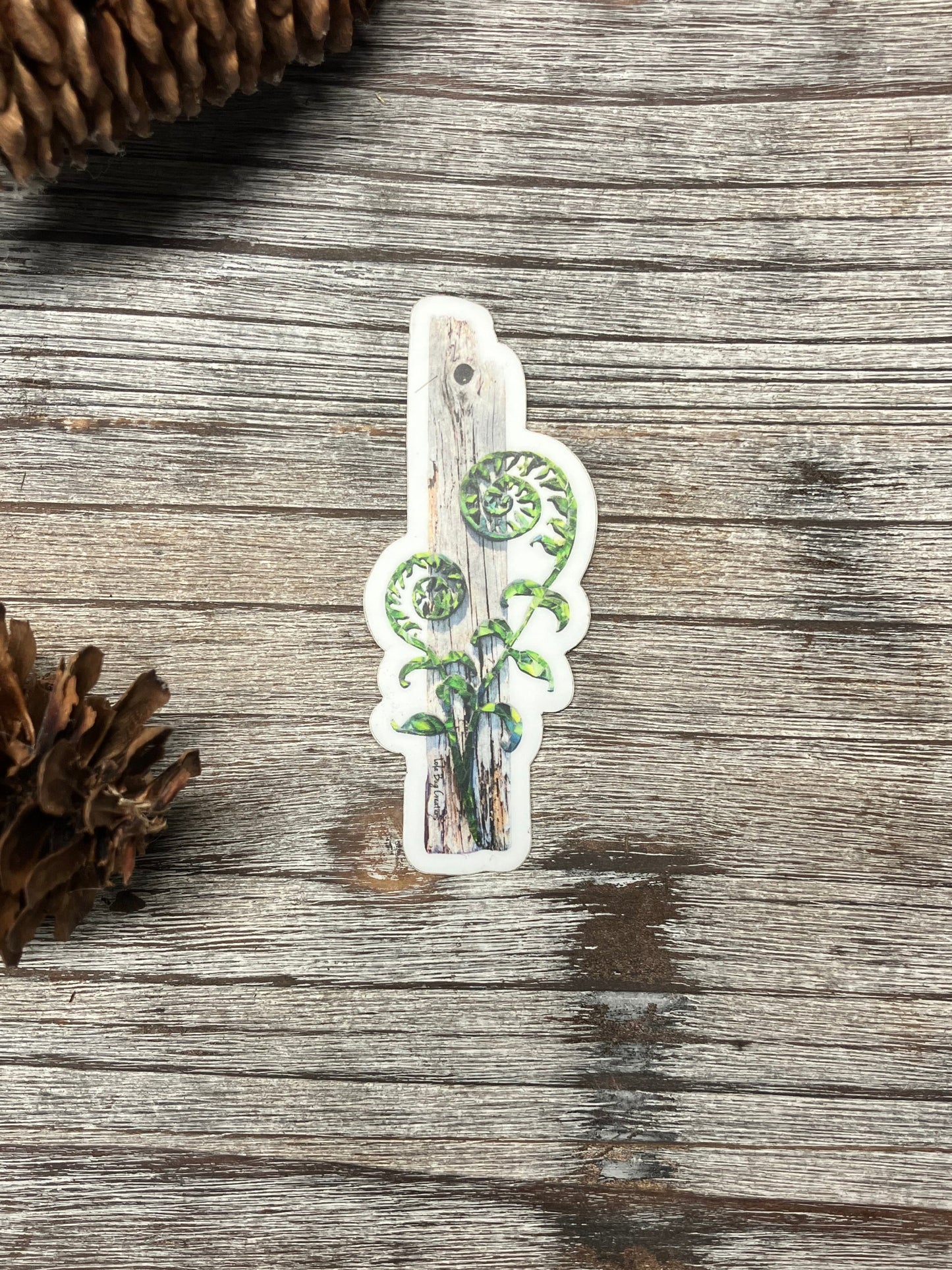 Fiddlehead Driftwood Vinyl Sticker