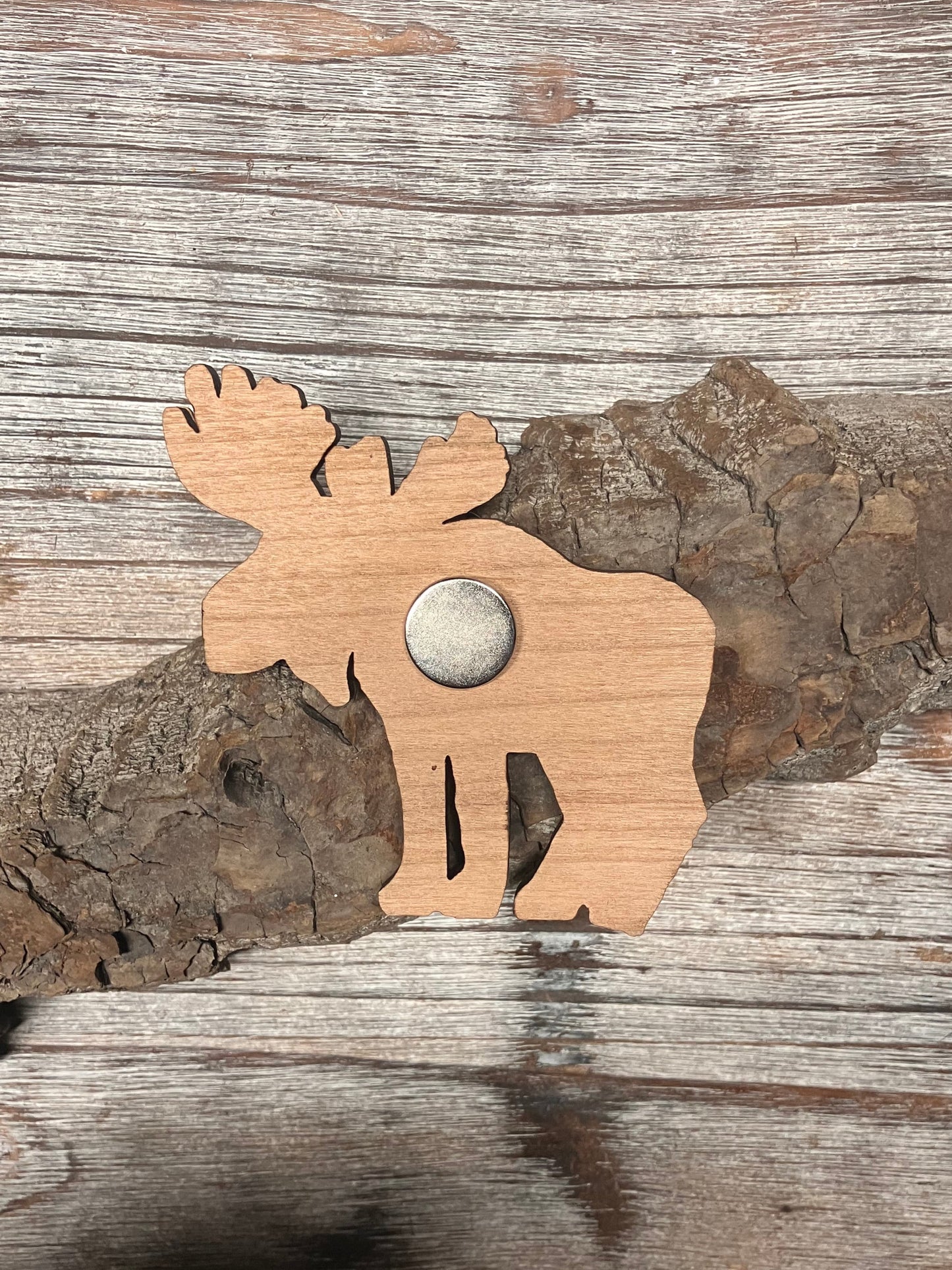 Rainbow Moose Wood Magnet