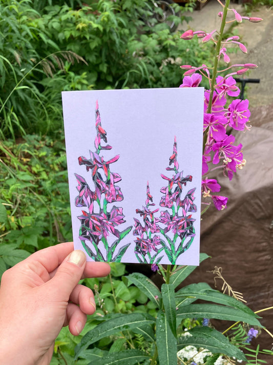 Fireweed Dreams Note Card