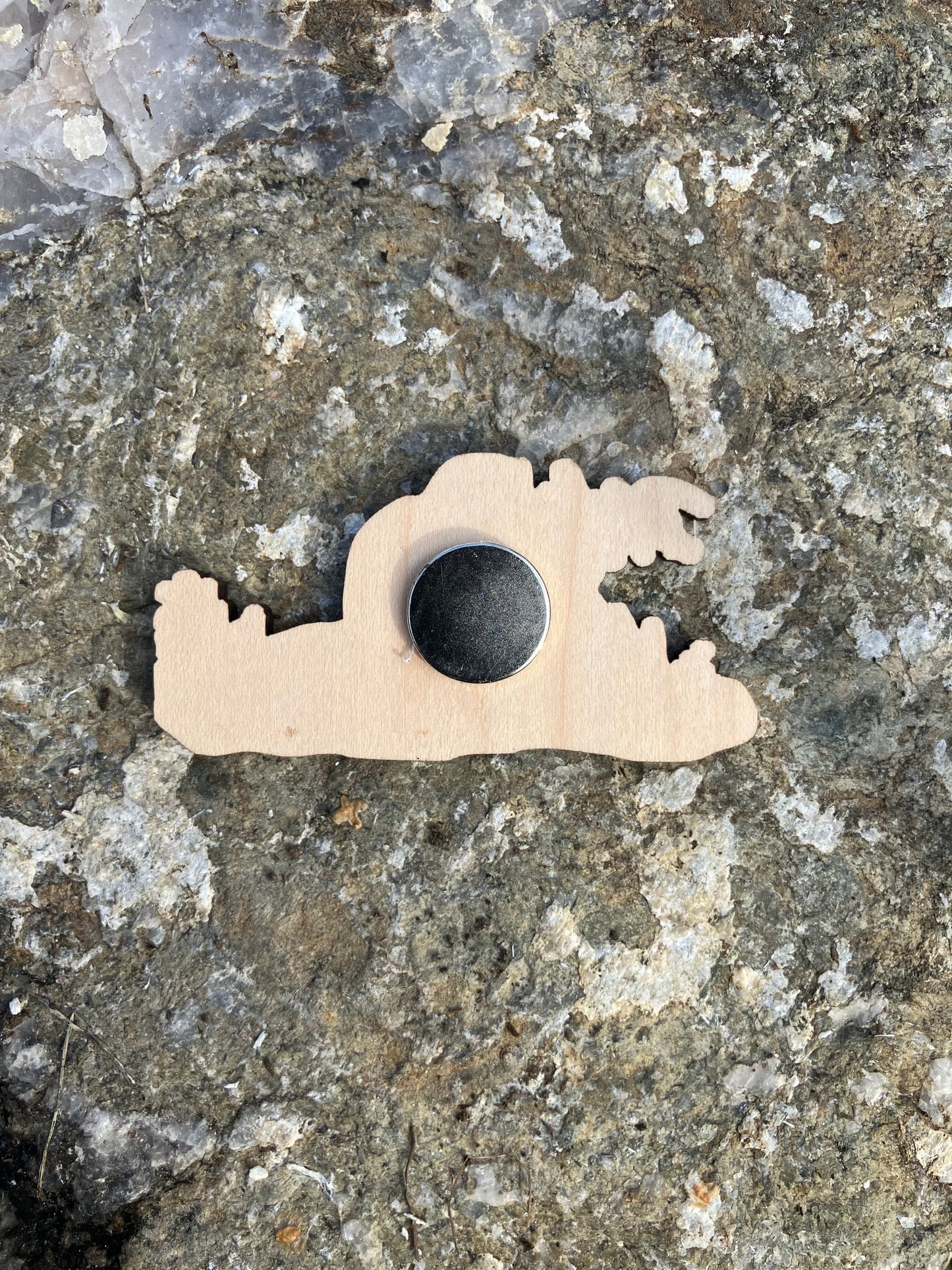 Dam! Beaver Wood Magnet