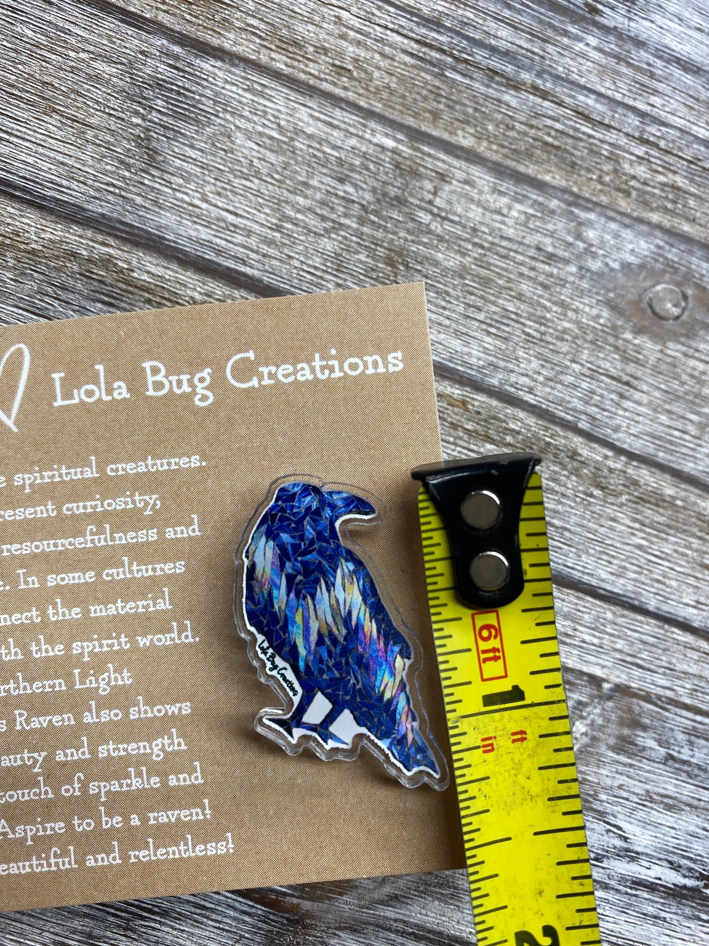 Studious Northern Lights Raven Pin