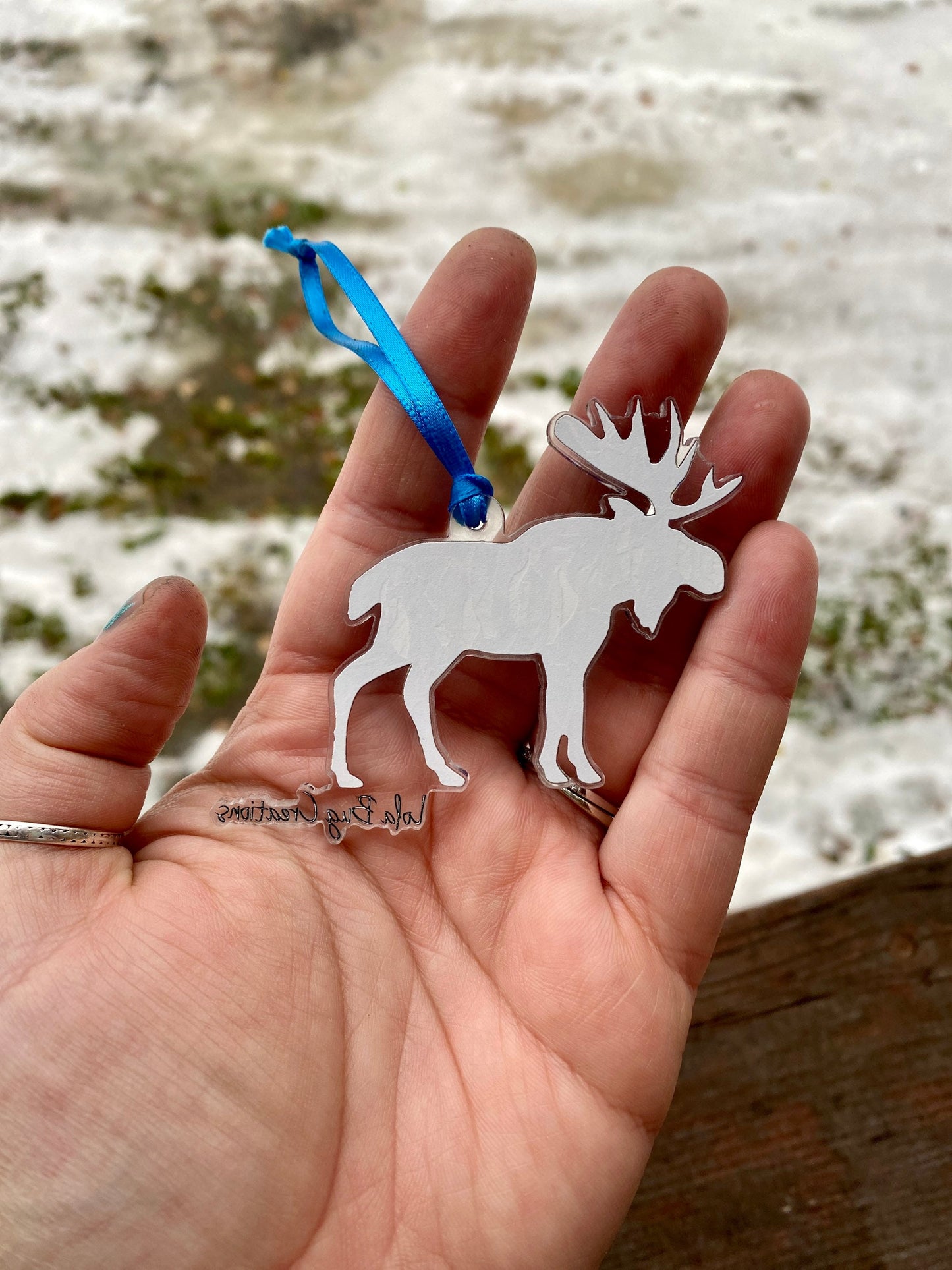 Northern Lights Moose acrylic ornament