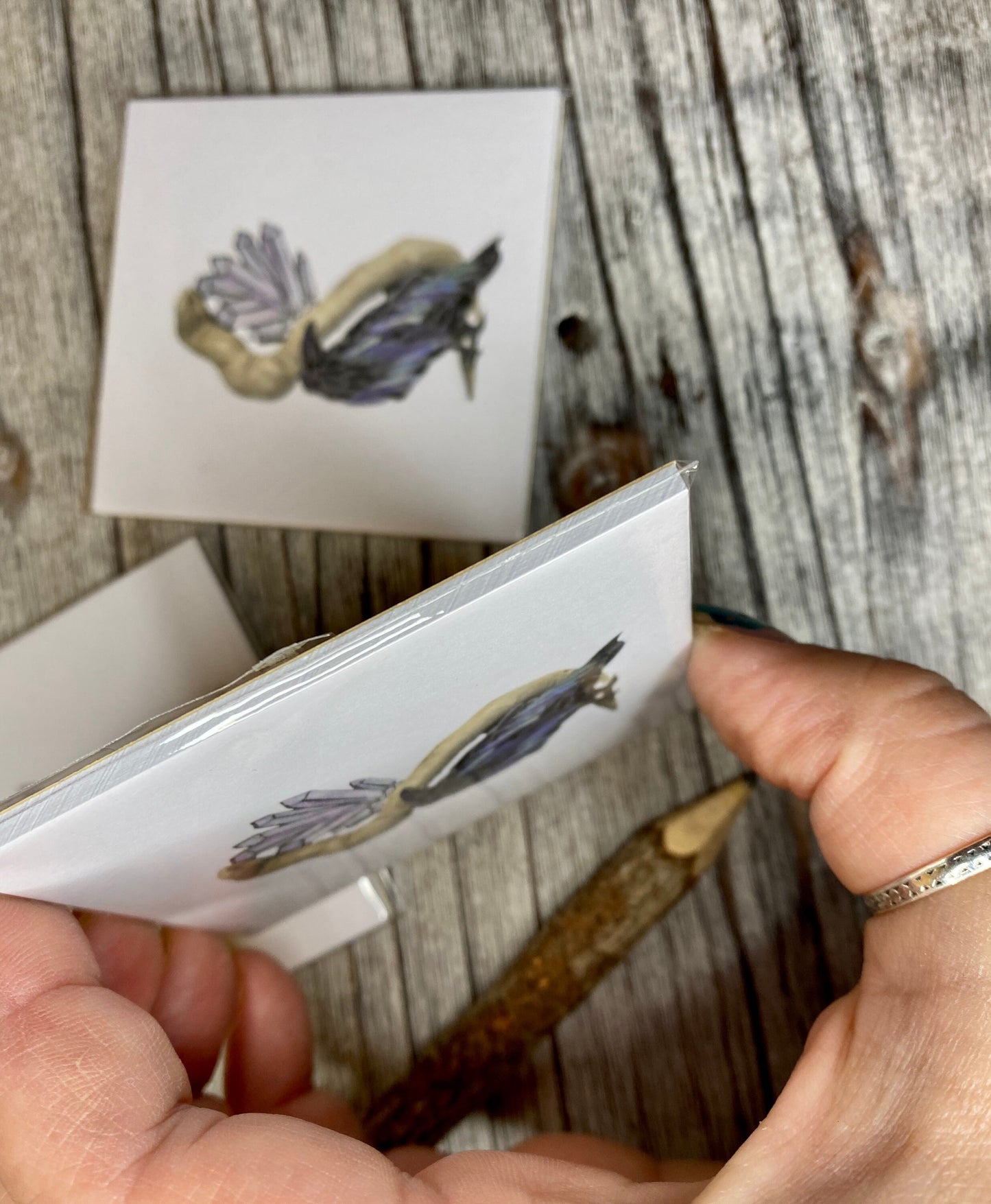 Adorable Raven on Driftwood Sticky Notes