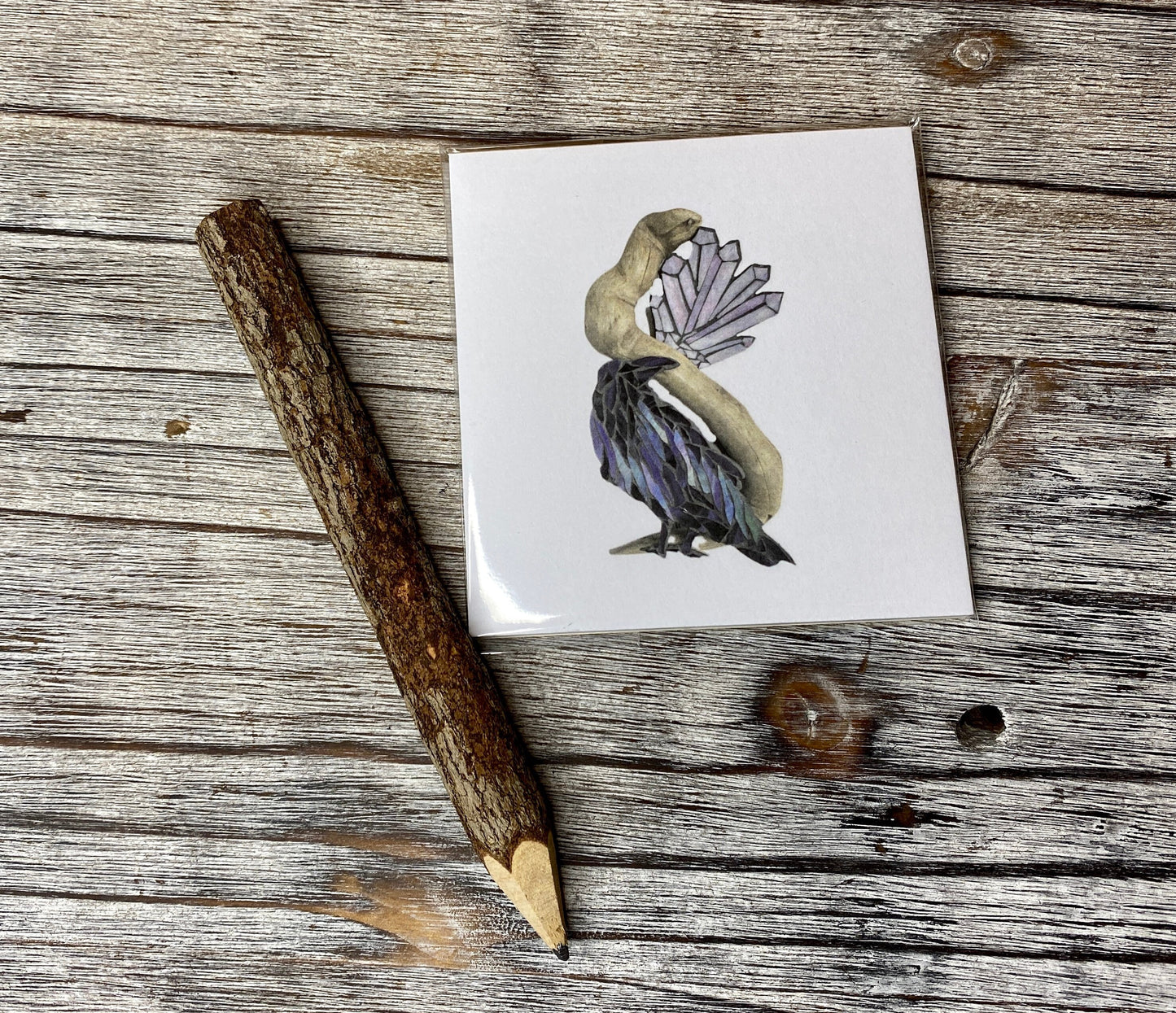 Adorable Raven on Driftwood Sticky Notes