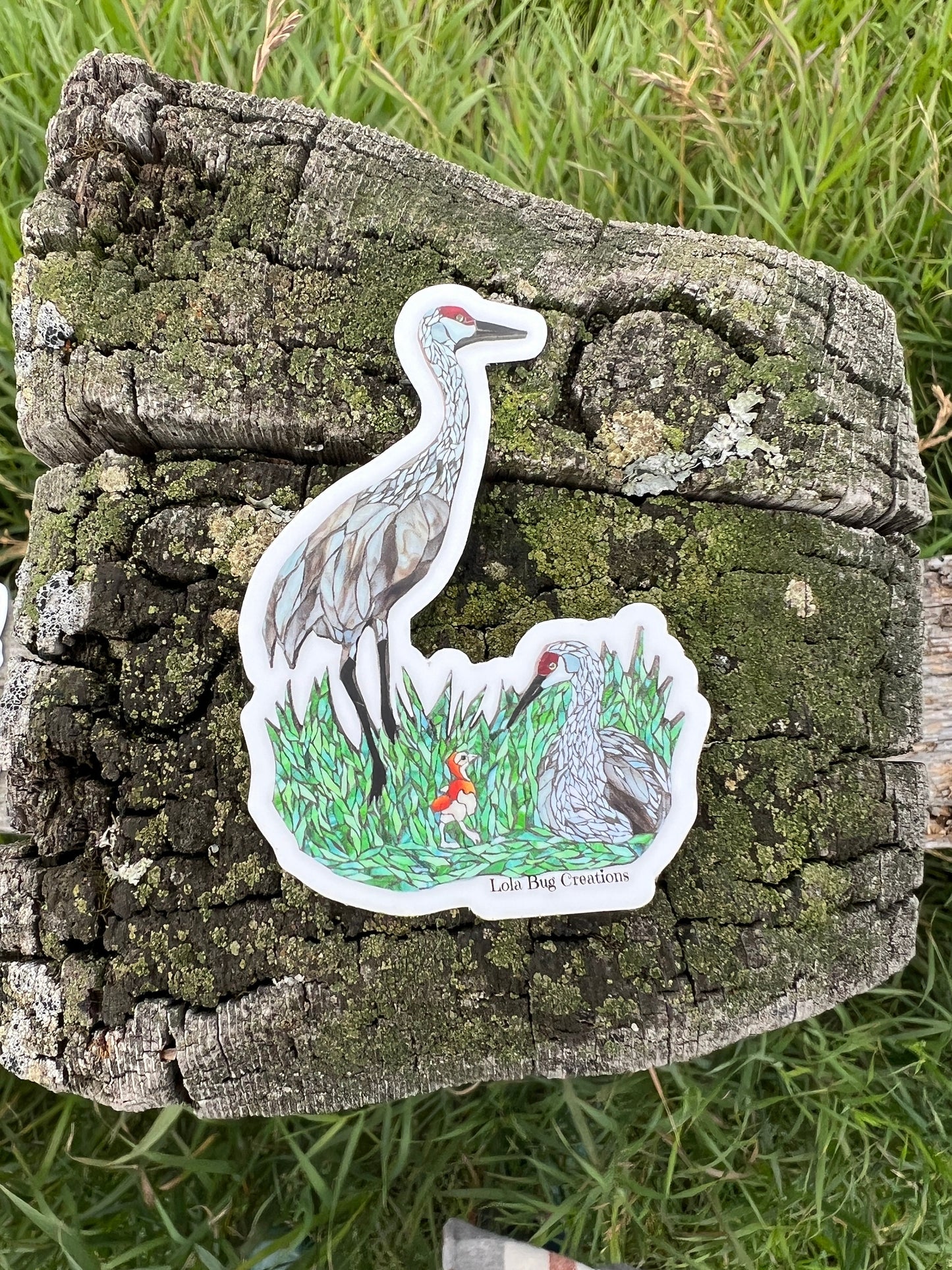 Sandhill Crane Family Vinyl Sticker