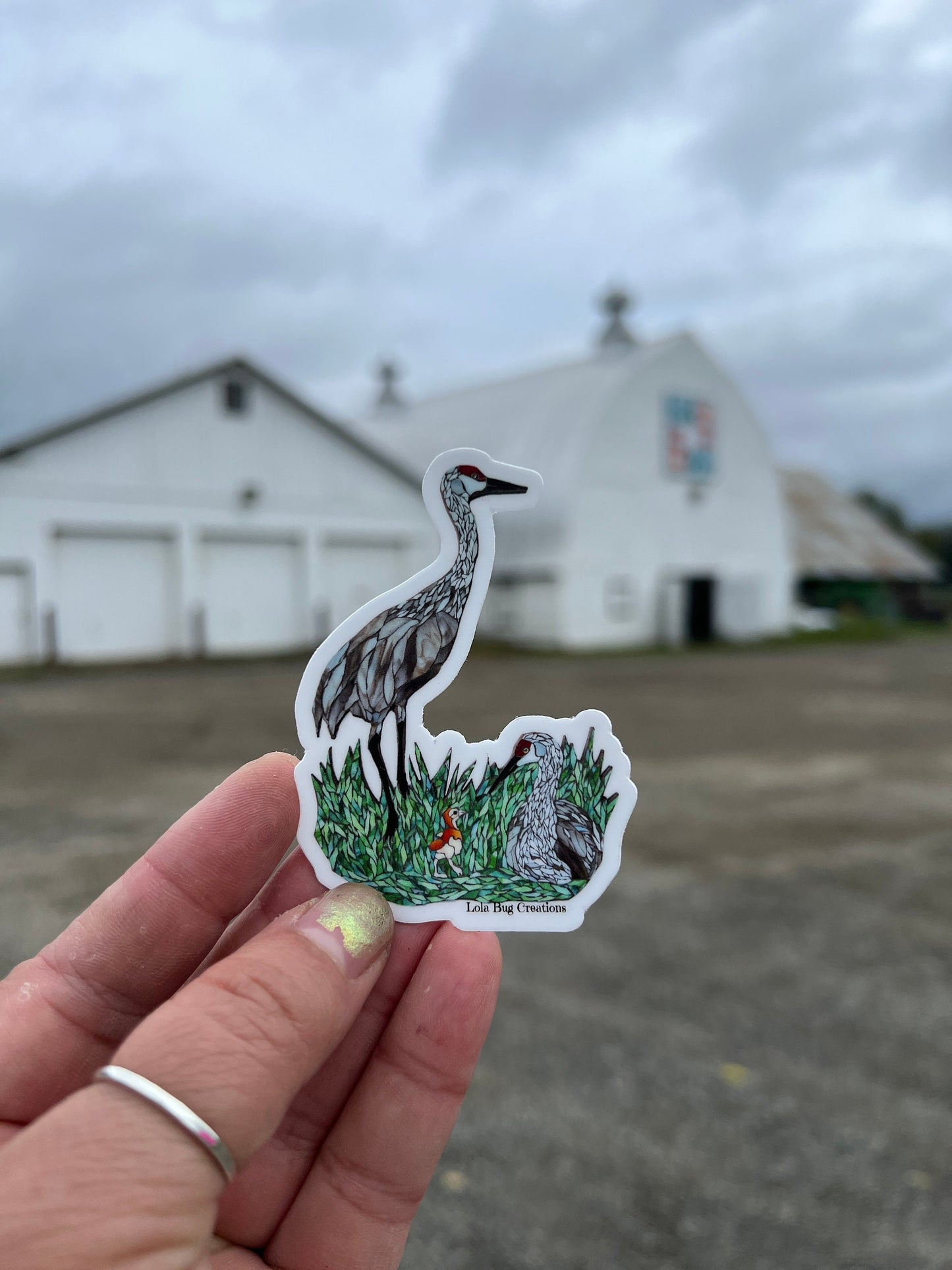 Sandhill Crane Family Vinyl Sticker