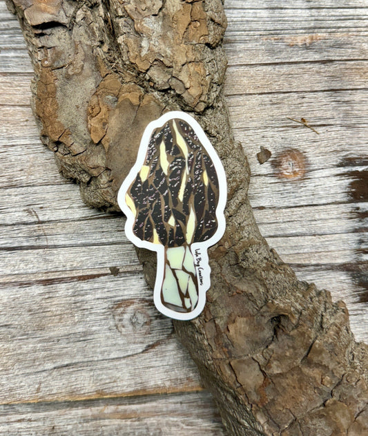 Morel Mushroom Vinyl Sticker