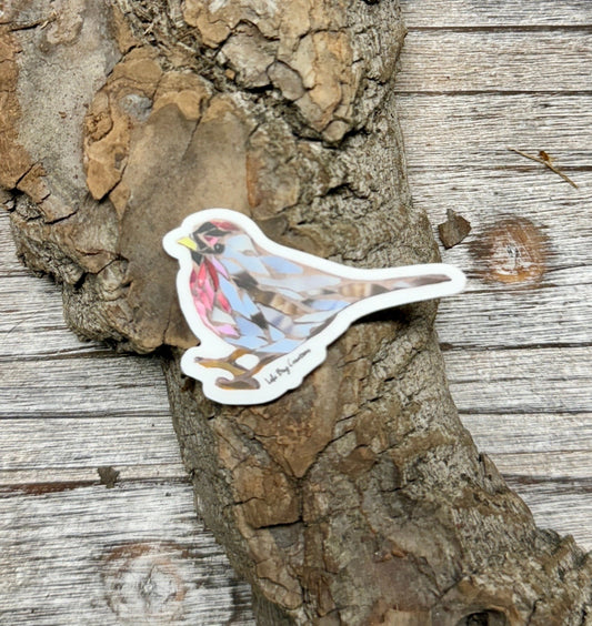 MINI Redpoll Bird Vinyl Sticker